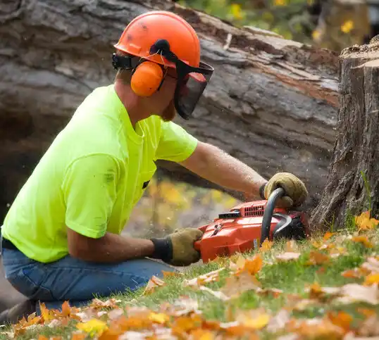 tree services Annapolis Neck